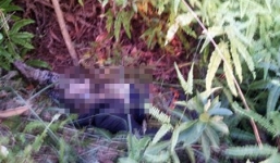 Phát hiện thi thể nam thanh niên đang phân hủy ở ven đồi